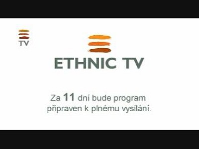 Ethnic TV