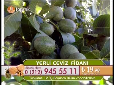 Toprak Yildiz TV